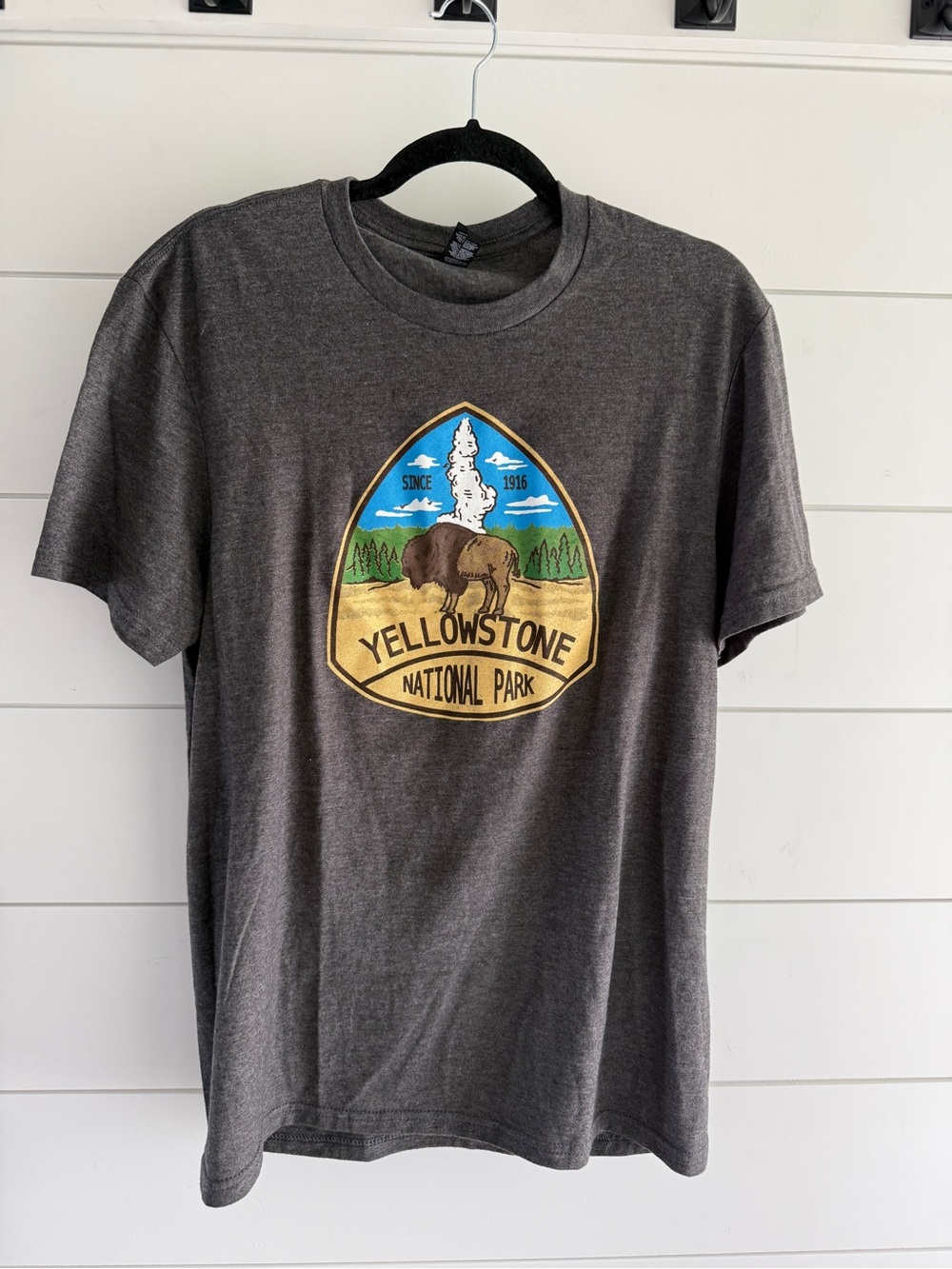 Yellowstone National Park Graphic Tee - Brown